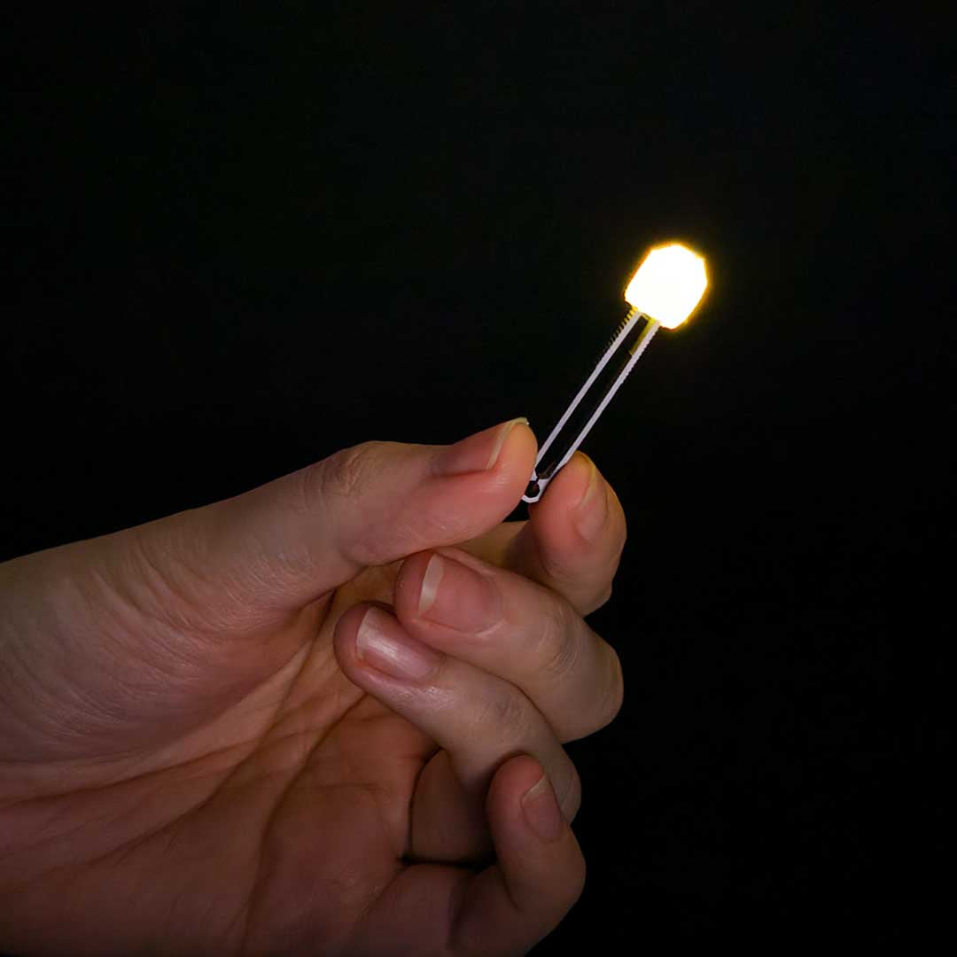 World's Smallest Titanium Tweezers