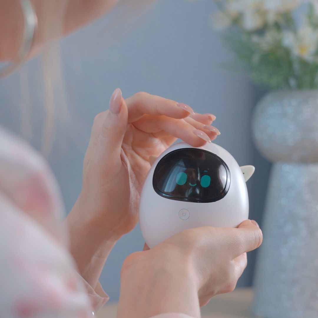 Gentle Companion For Quiet Moments