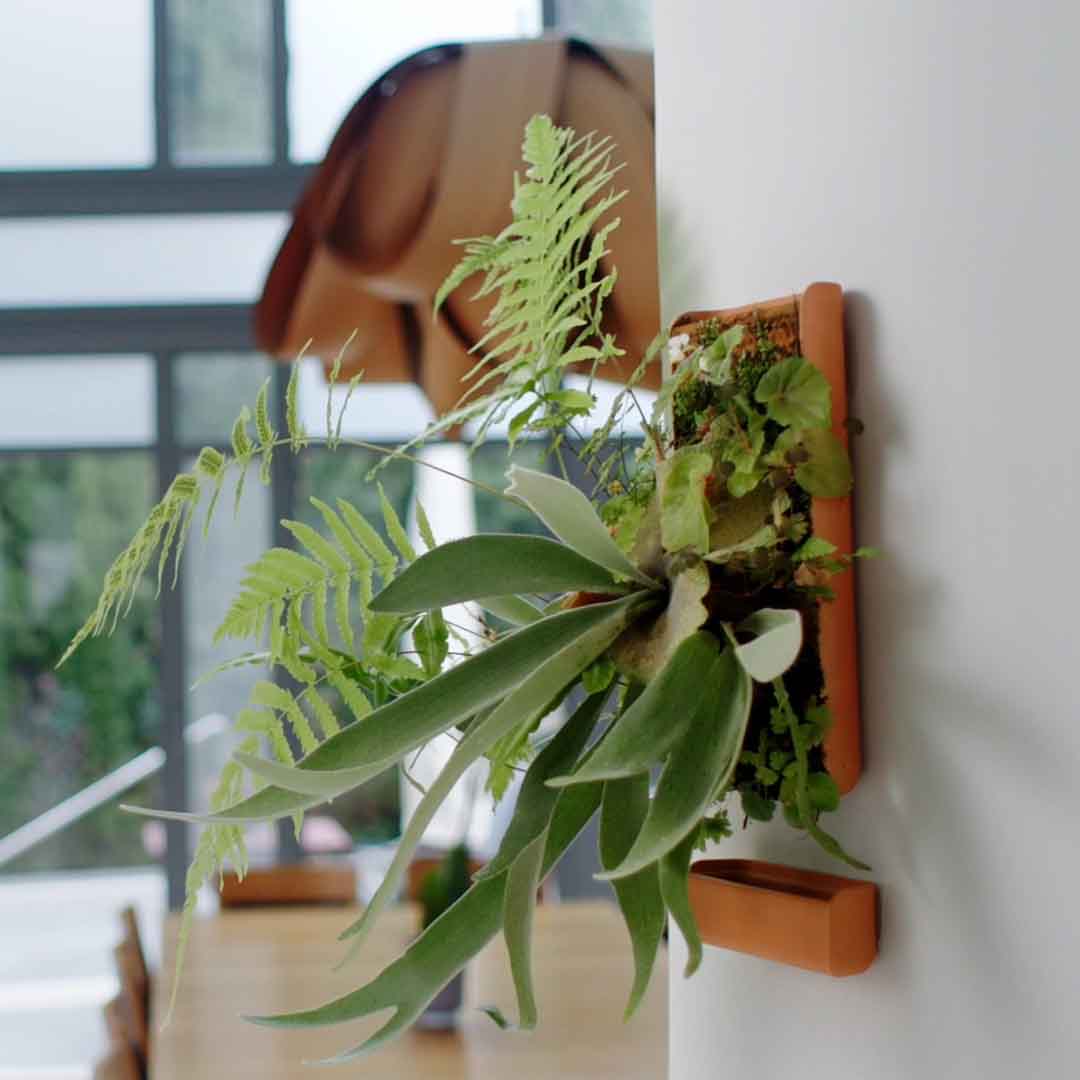 Self-Watering Planter Tile Inspired By Nature