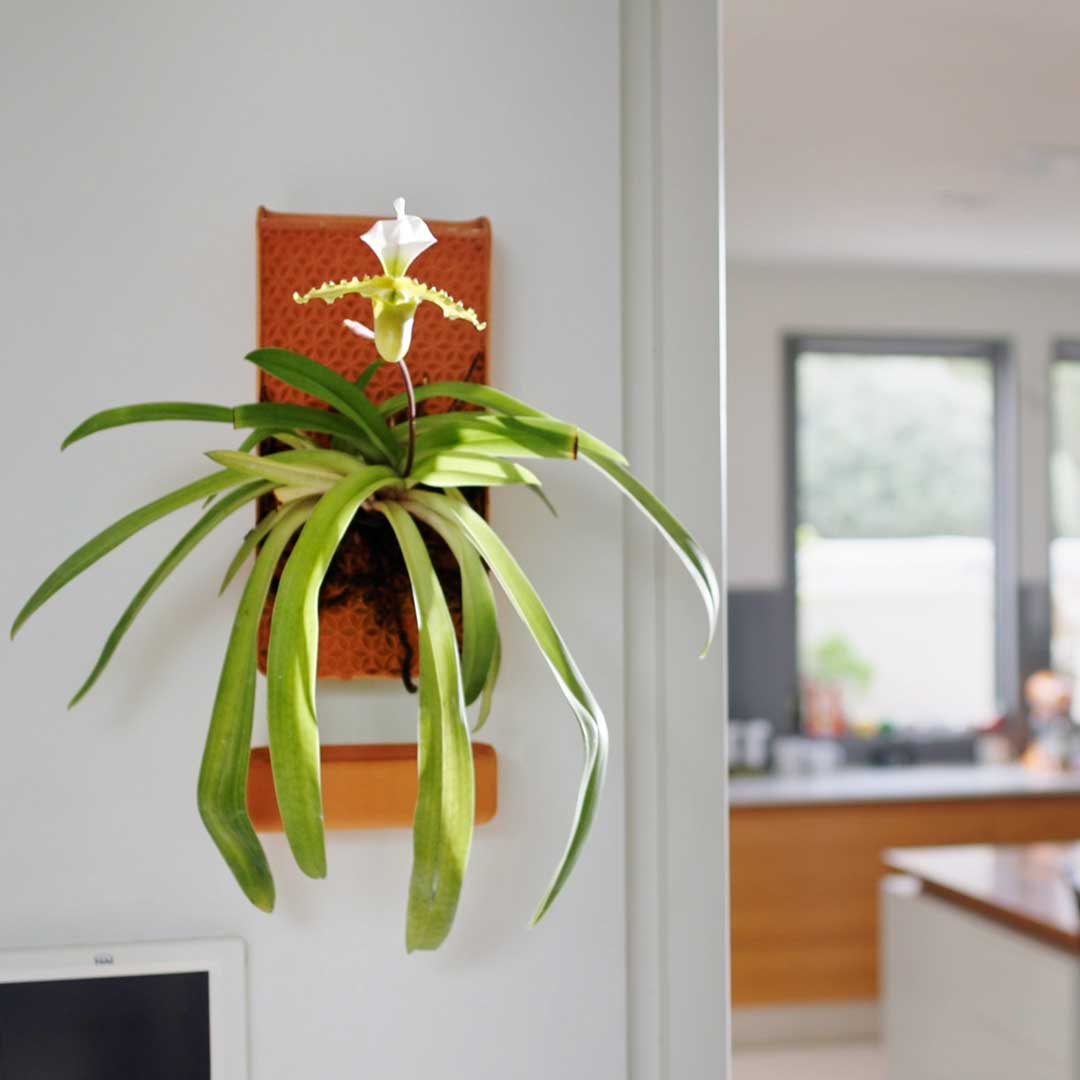 tabor tools self watering planter Self-Watering Planter Tile Inspired By Nature