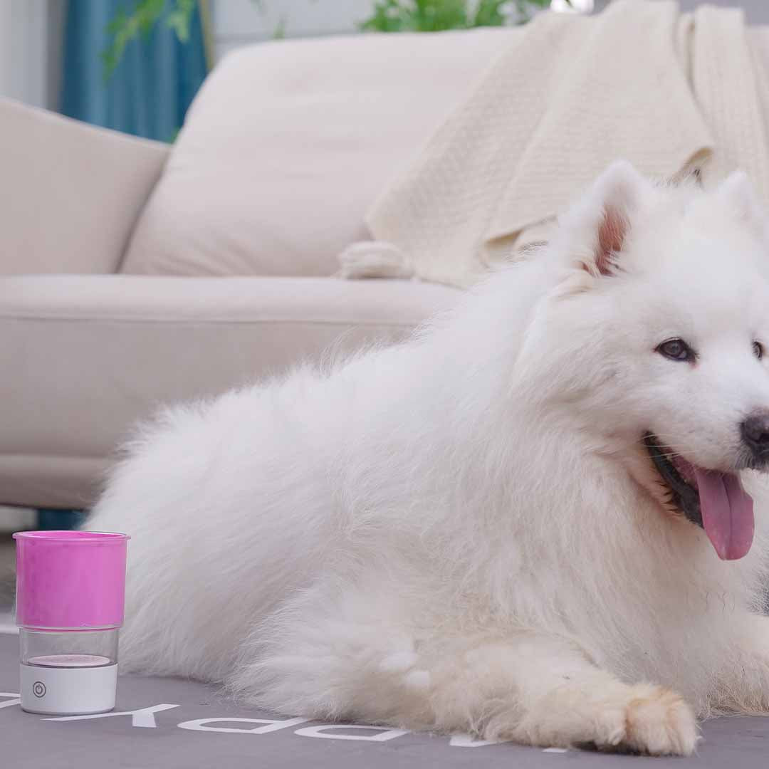 Doggy Paw Cleaner For Muddy Walk Days
