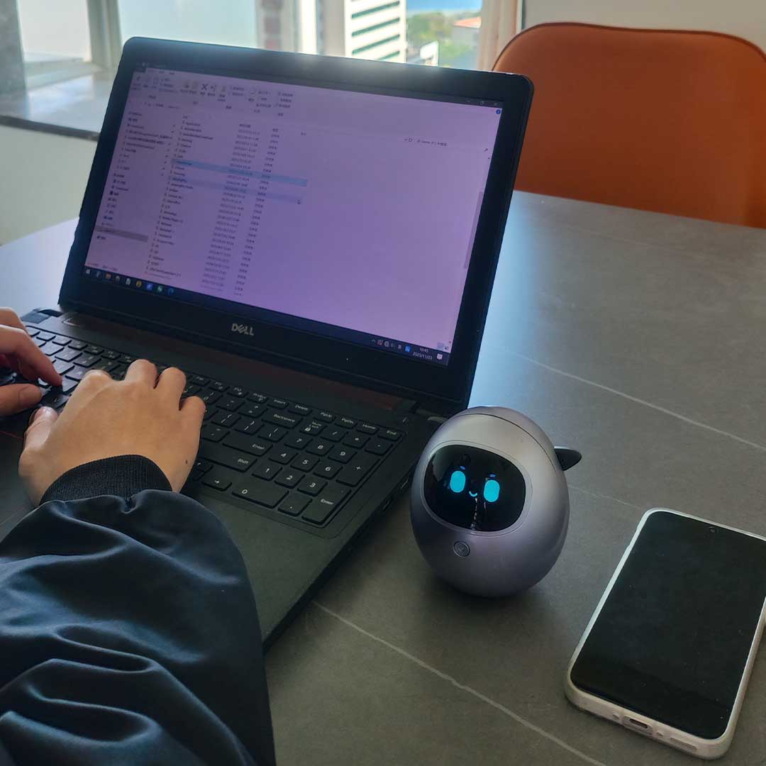 Gentle Companion For Quiet Moments