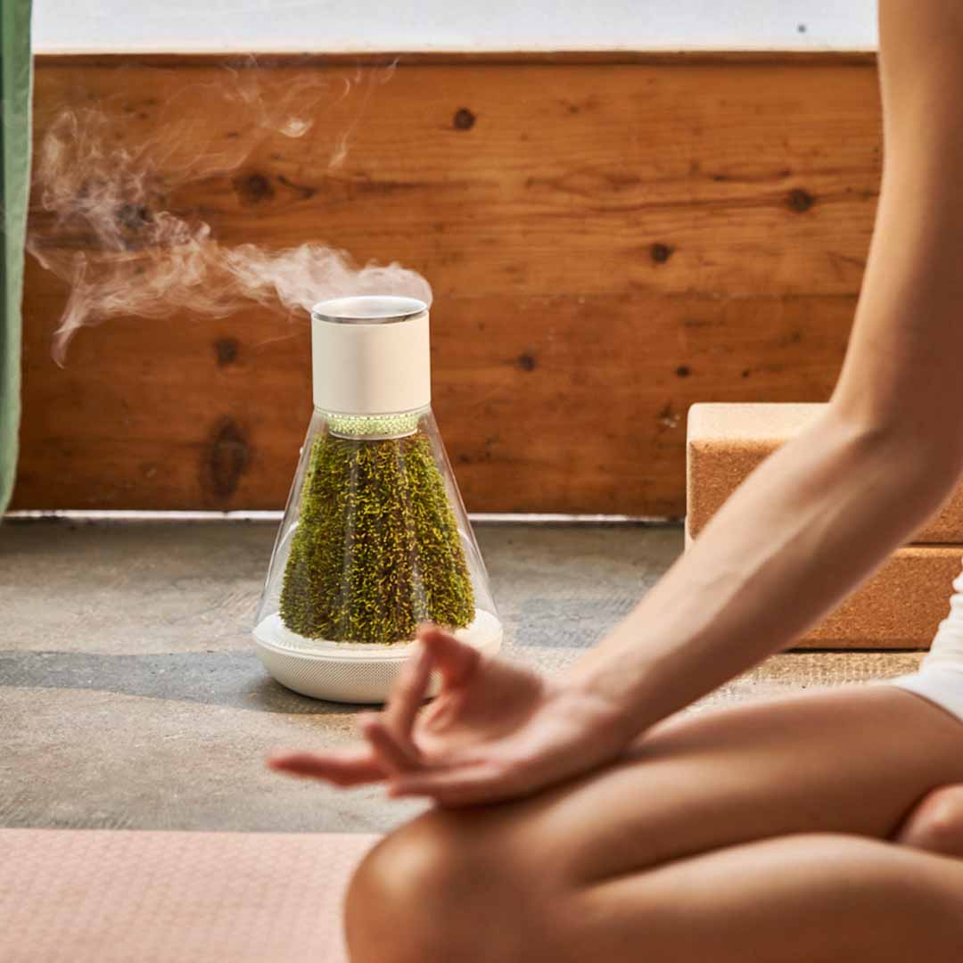 Natural Moss, Fresher Air