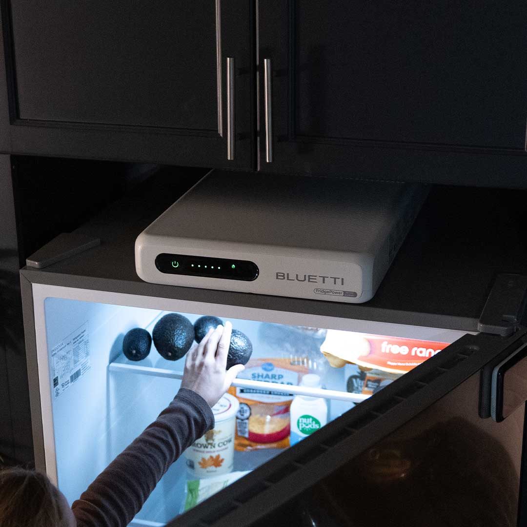 Automatic Refridgerator Backup ❄