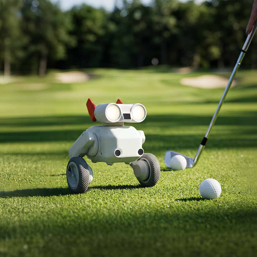 Your All-Terrain Robot Camera Operator