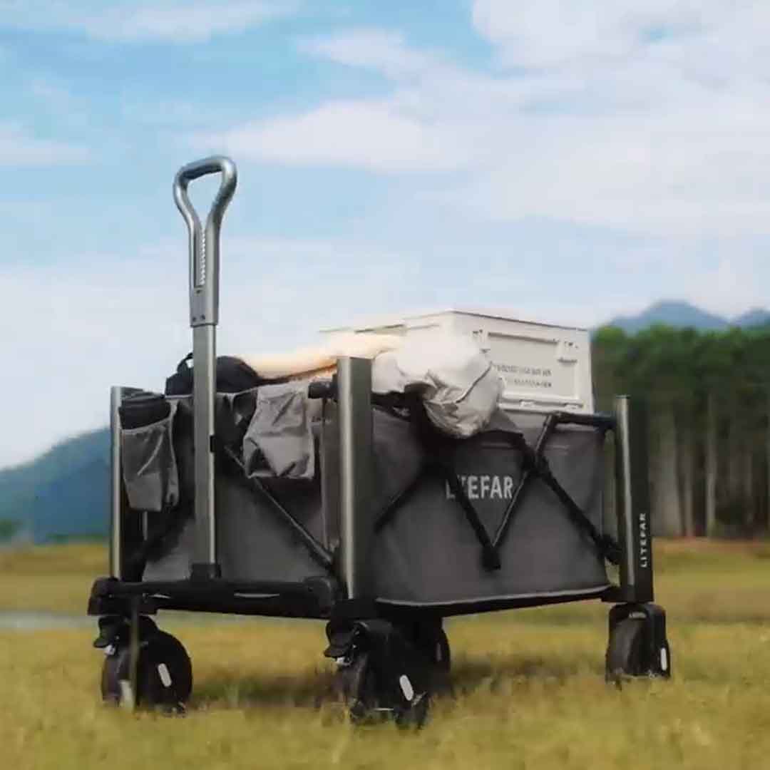 500W Smart Wagon With Hands-Free Control