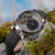 Timeless Balance: A Watch Of Precision And Elegance