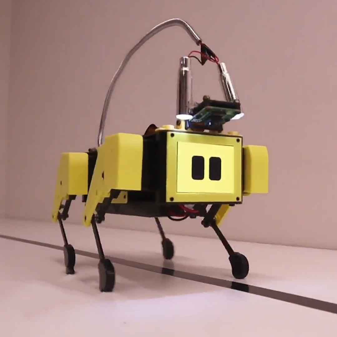 Learn Robotics With Beginner-Friendly Robots