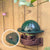Backyard Frog Habitat for Nature Fans