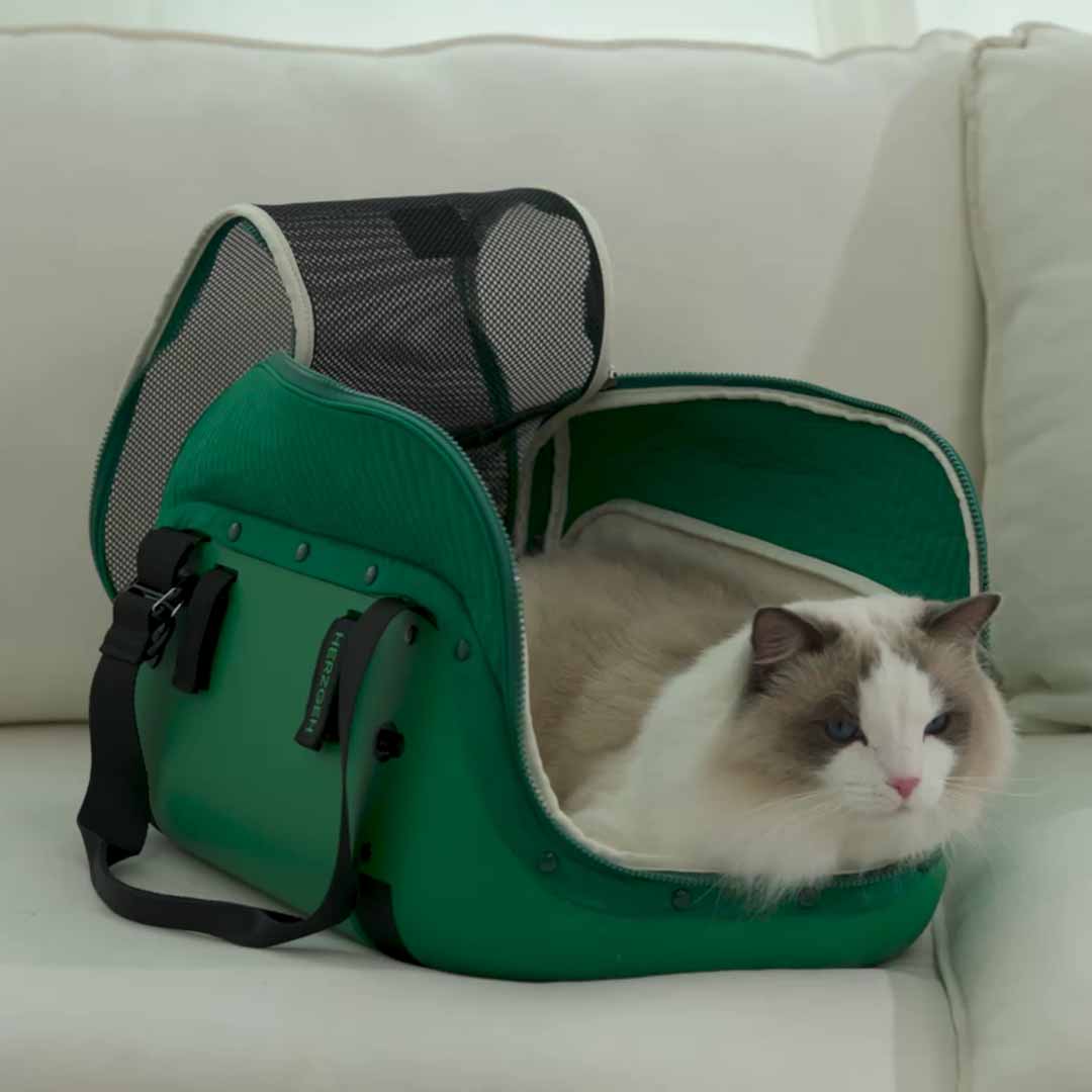 Hard-Shell Pet Carrier, No Droopy Floors