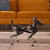 The AI Dog That Plays Forever