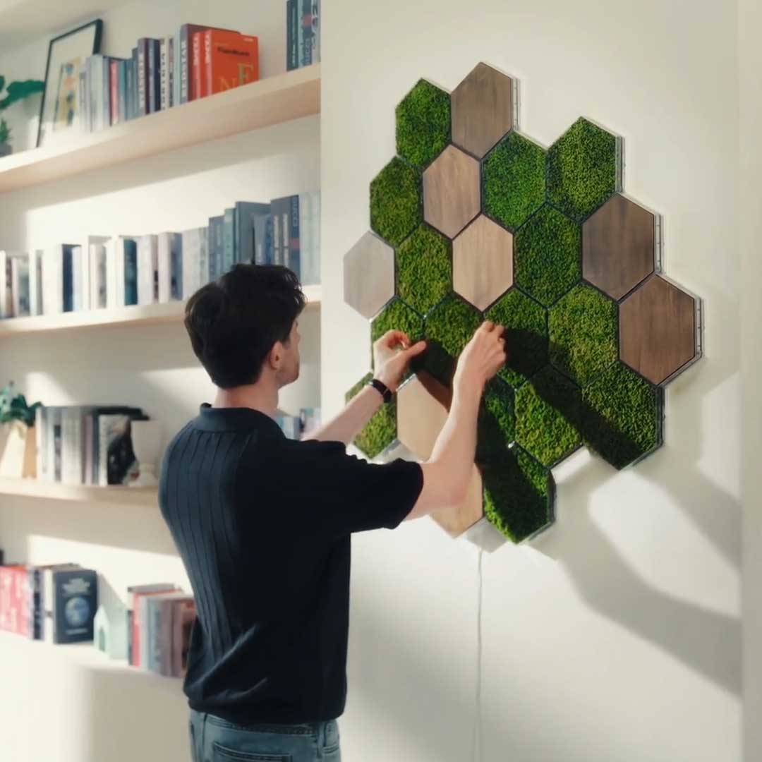 Modular Real Moss Wall Decor