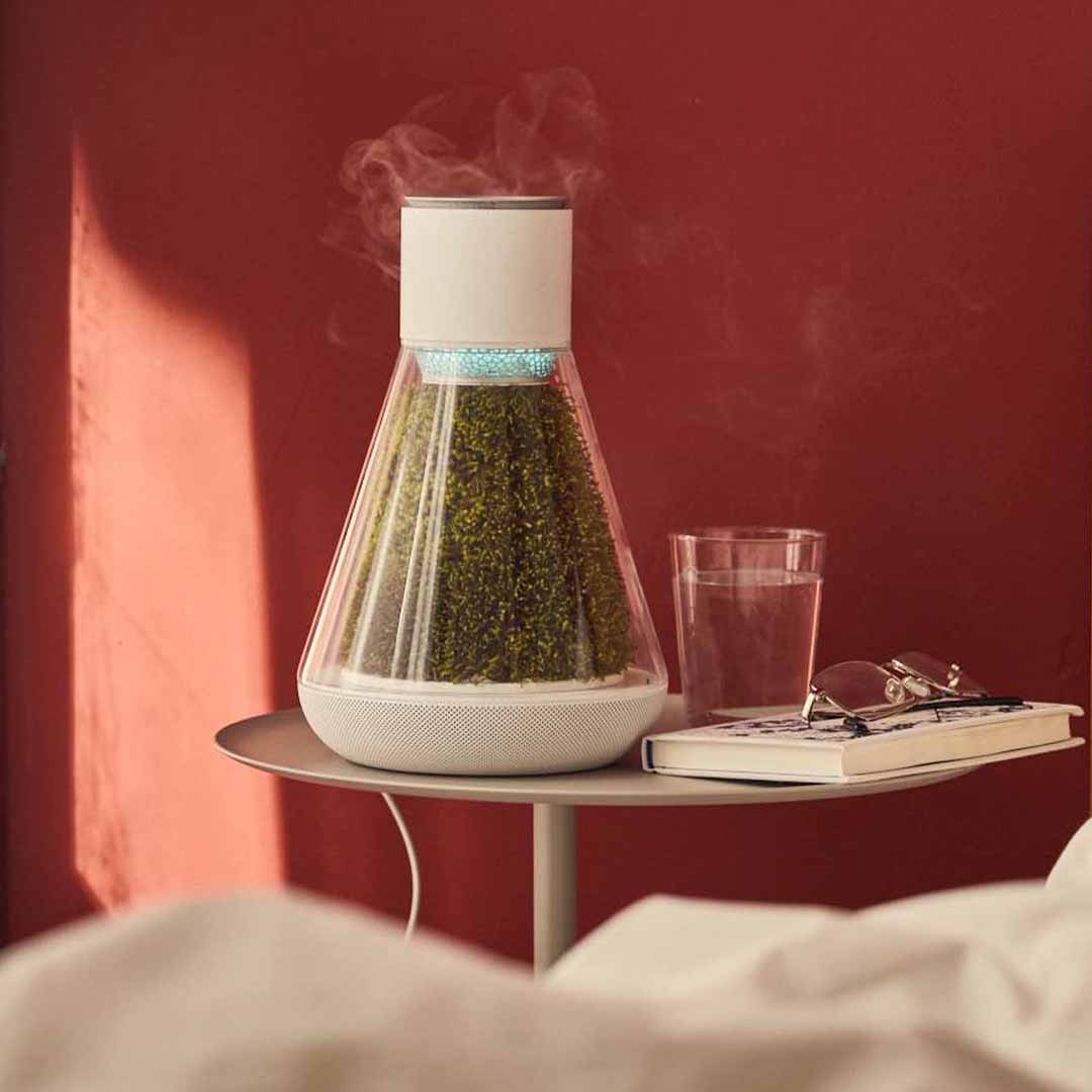 Natural Moss, Fresher Air