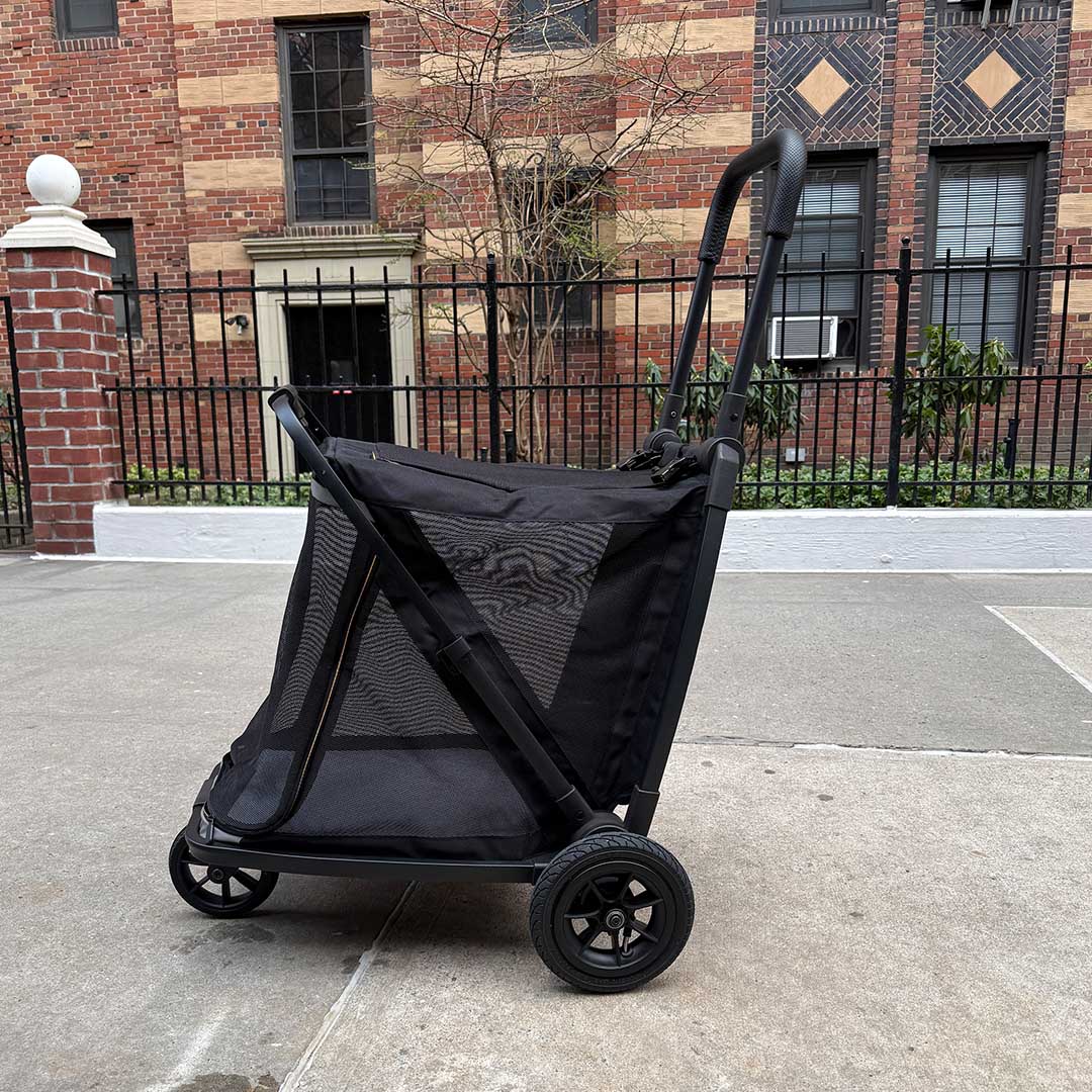 A Backpack, Stroller, & Bike Trailer For Your Dog