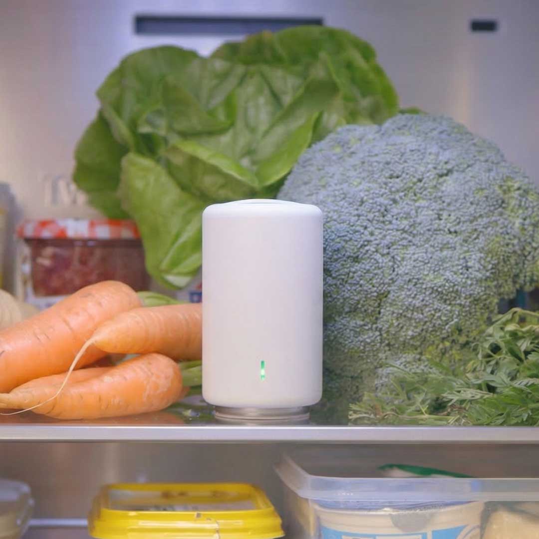The Fridge Purifier As Compact As A Soda Can