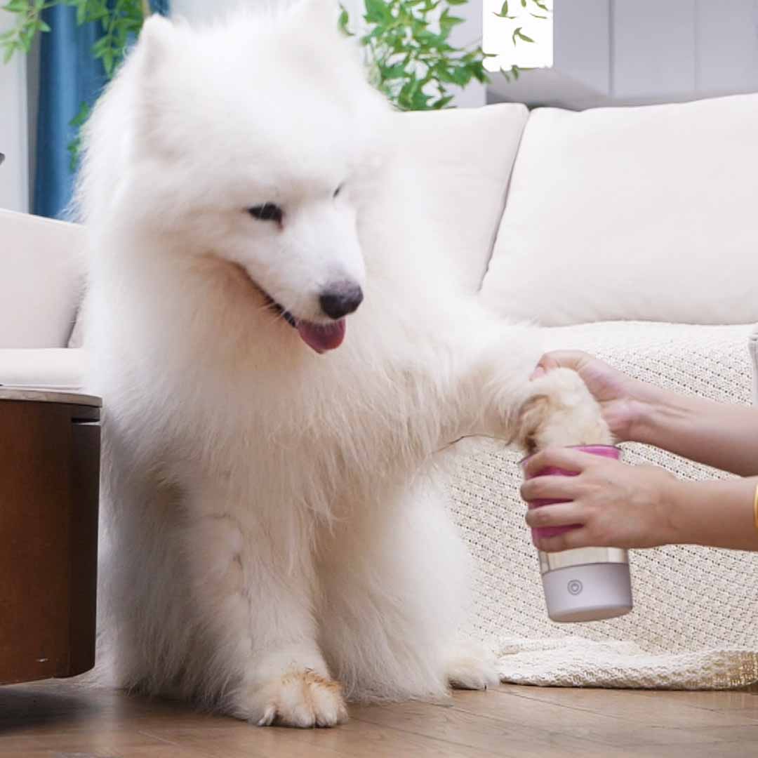 Doggy Paw Cleaner For Muddy Walk Days