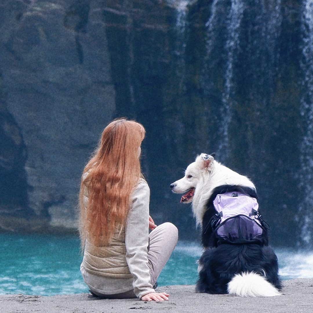 Shoulder-Free Dog Pack Comfort