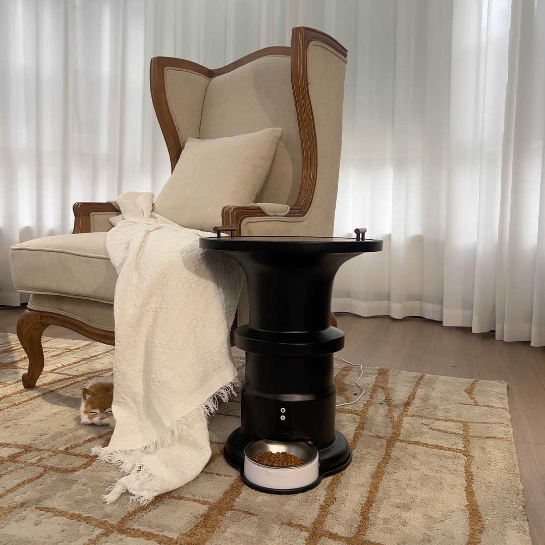 Furniture For Pets And People