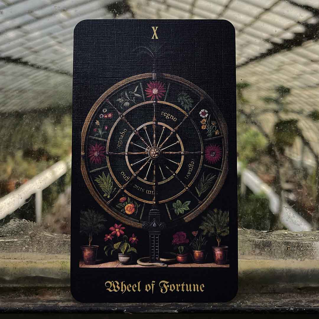 Tarot Reimagined with Dreamy Renaissance Elegance