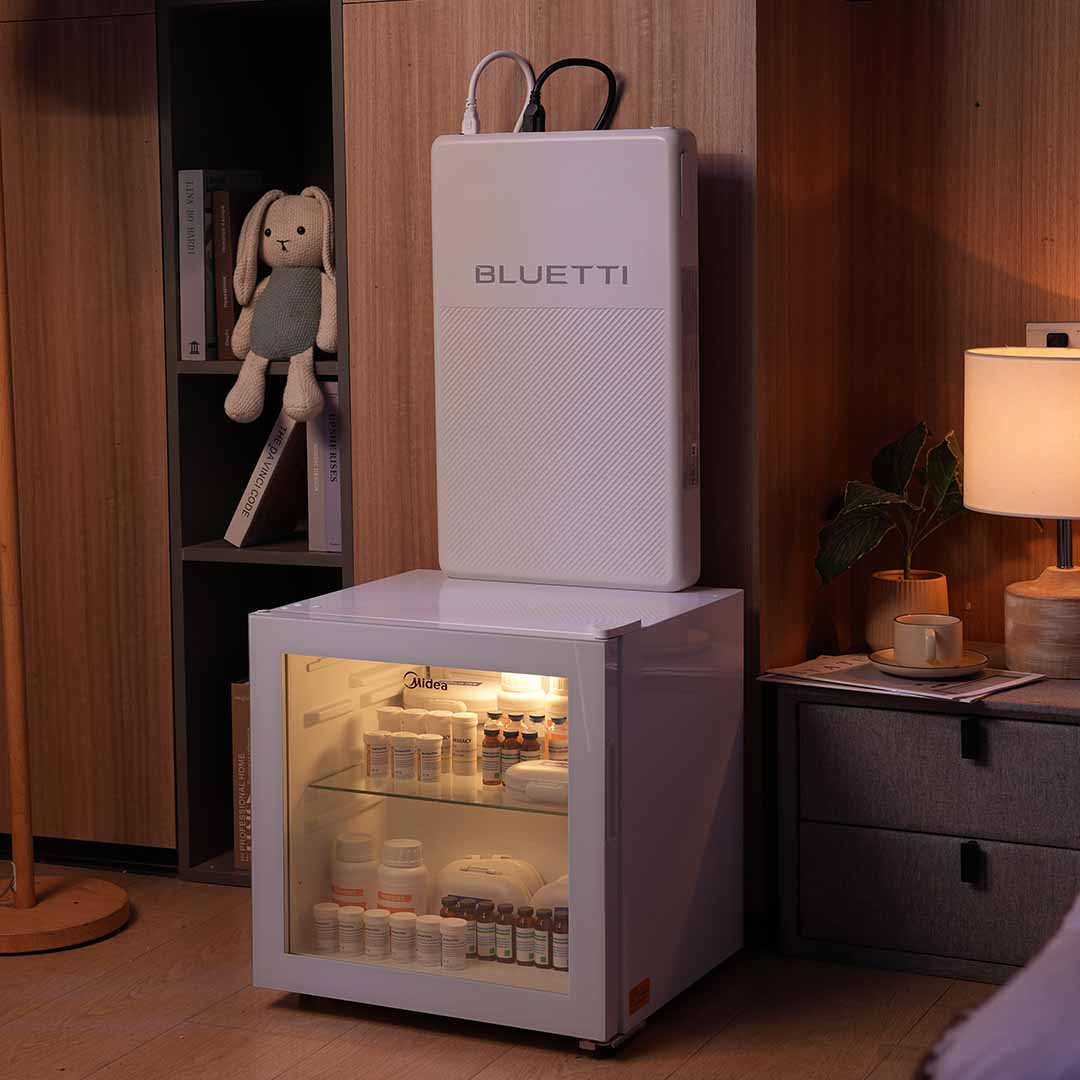 Automatic Refridgerator Backup ❄