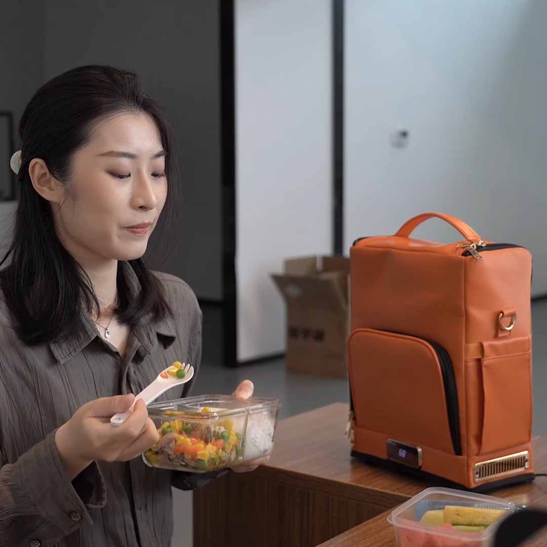 Smart Cooler And Warmer Carry Bag