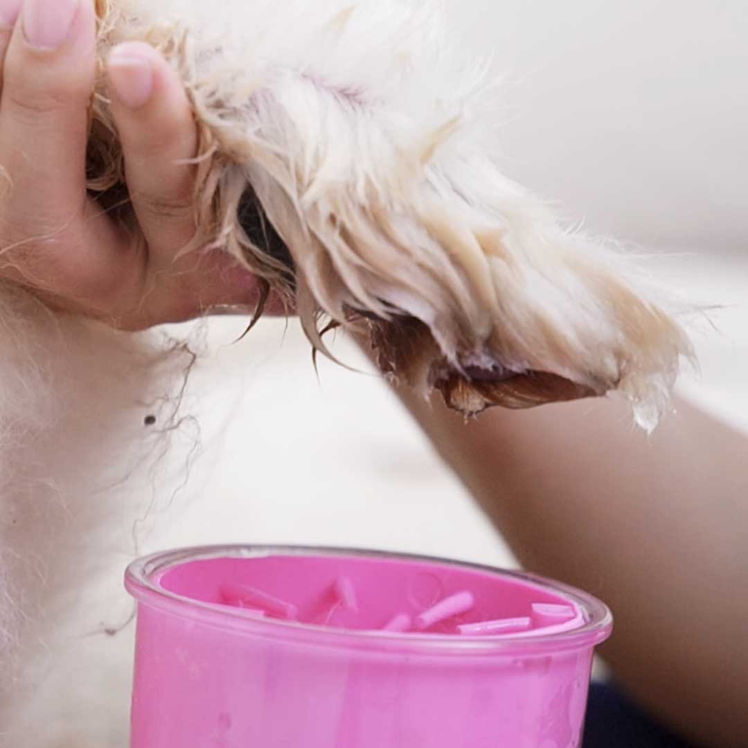 Doggy Paw Cleaner For Muddy Walk Days
