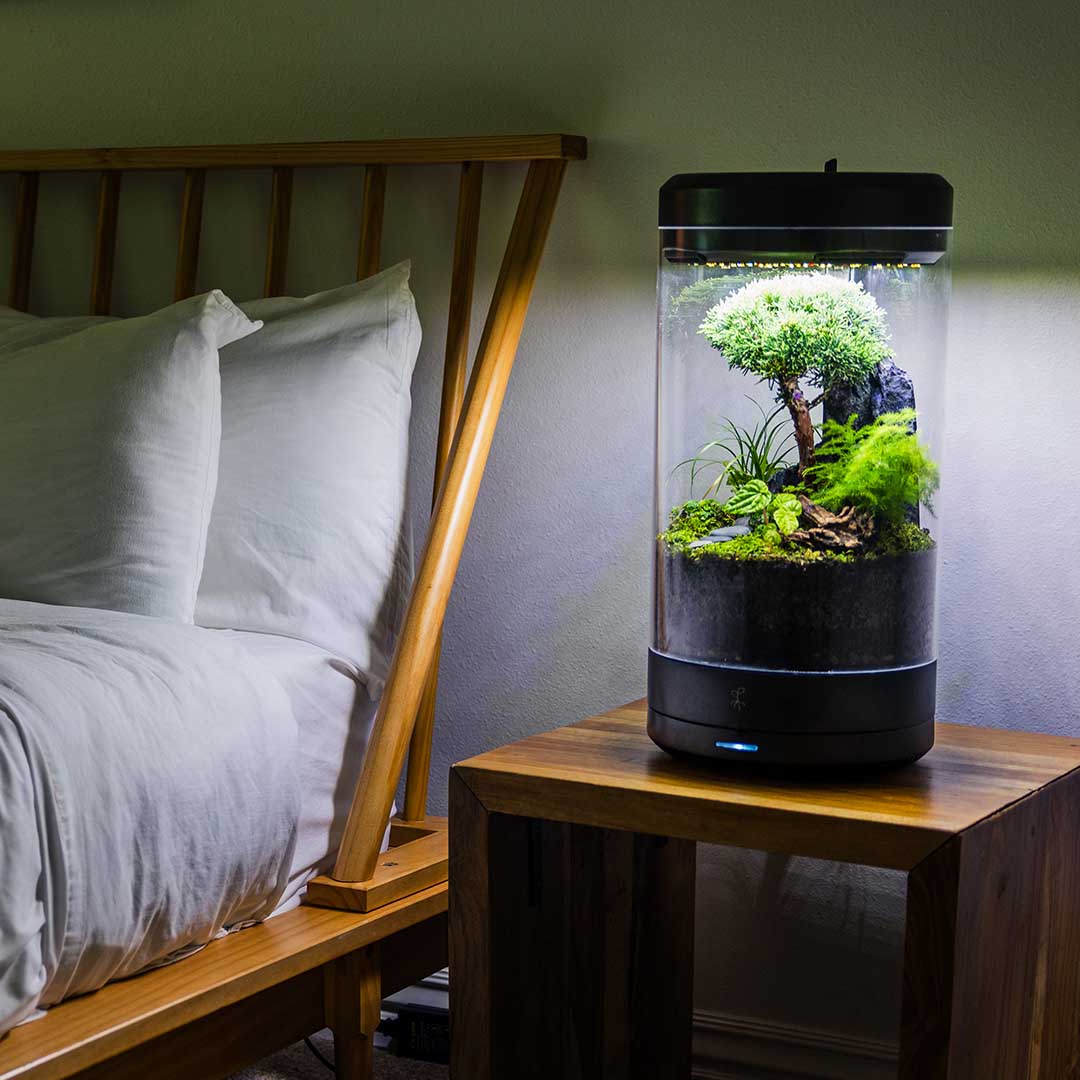 Bring Nature to Your Desk, Effortlessly