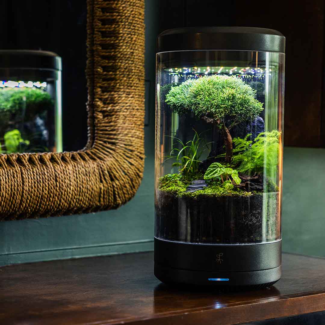 Bring Nature to Your Desk, Effortlessly