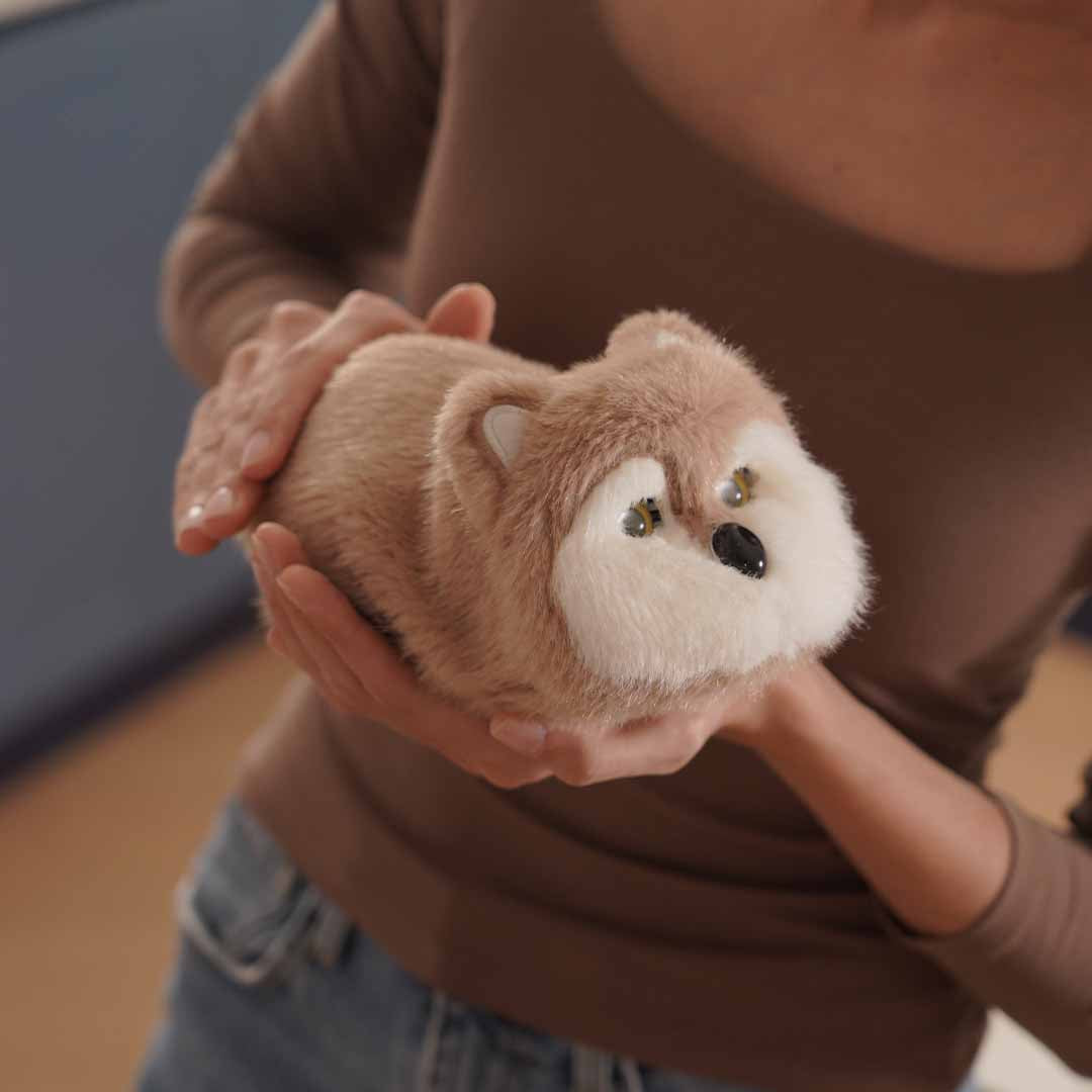 A Companion You Can Feel