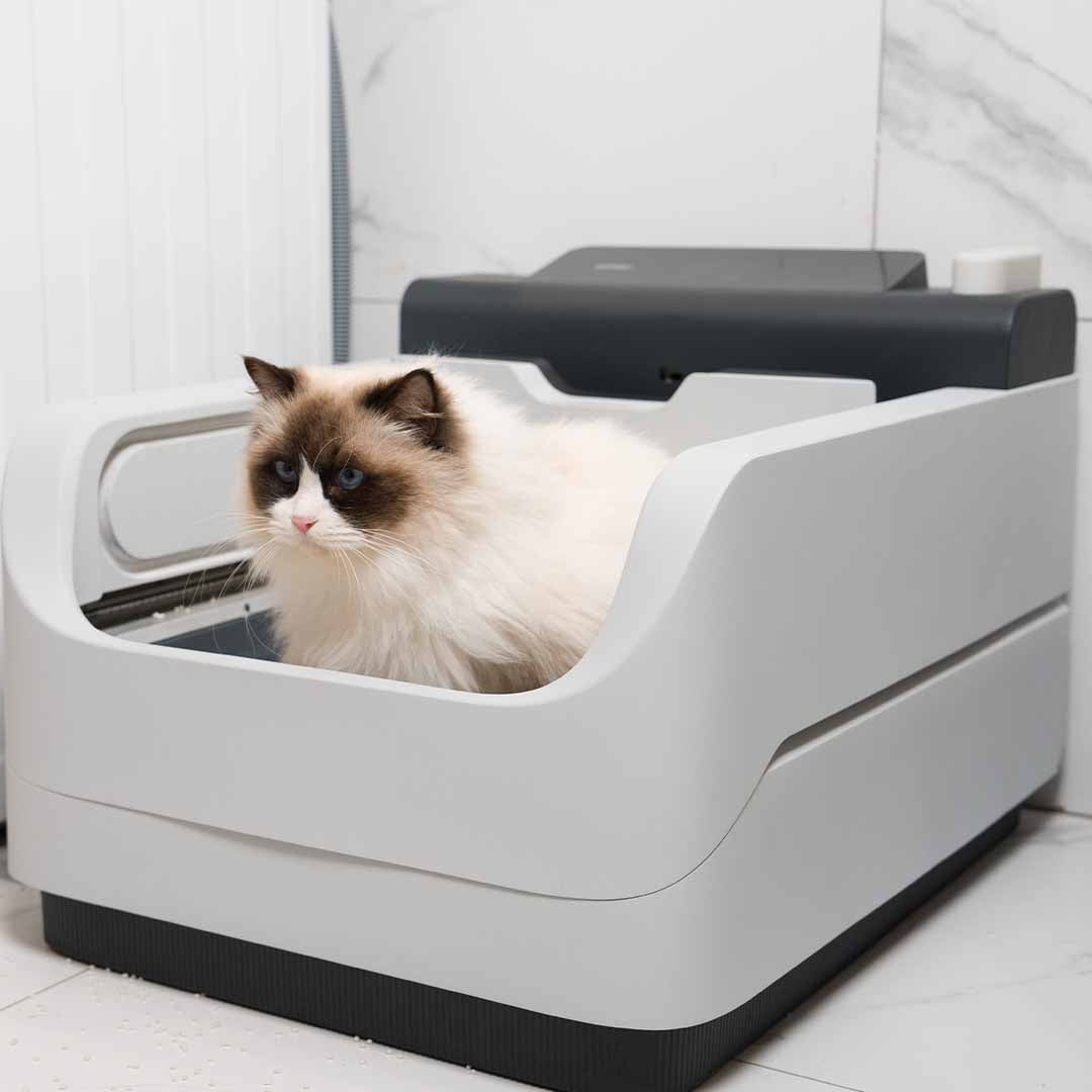 Self-Flushing Litter Box With AI Health Tracking