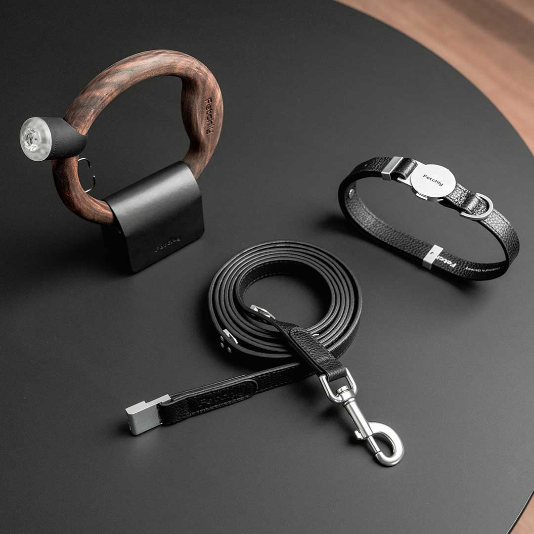 The Magnetic Leash That Adapts
