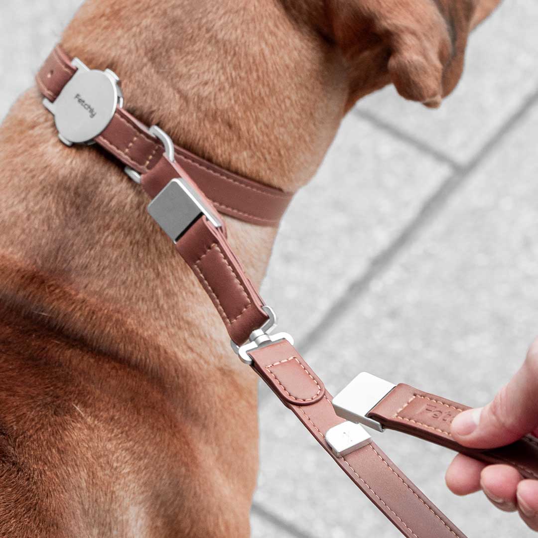 Engineered To Leash Up In One Click