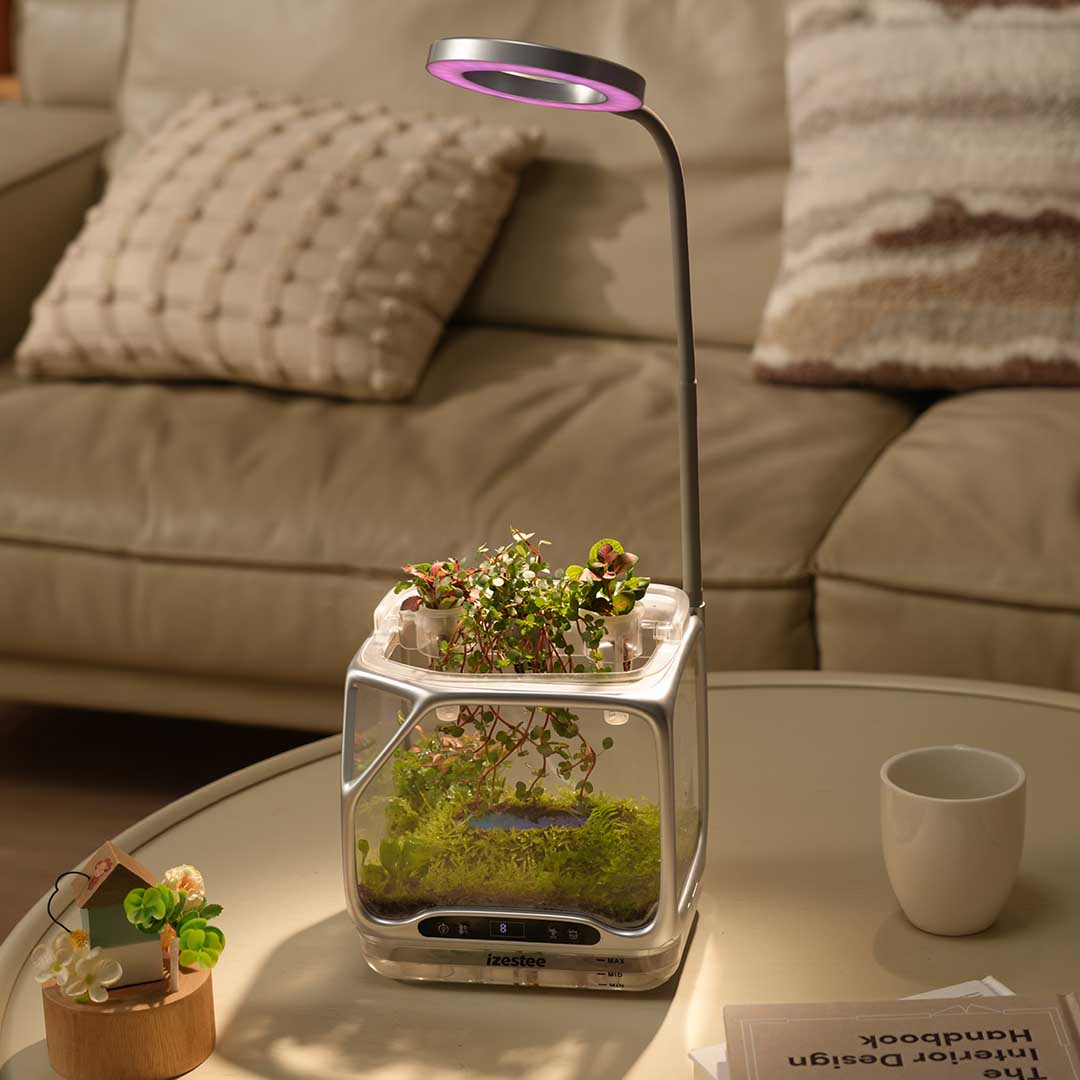 World's First Scenic Aeroponic Ecosystem