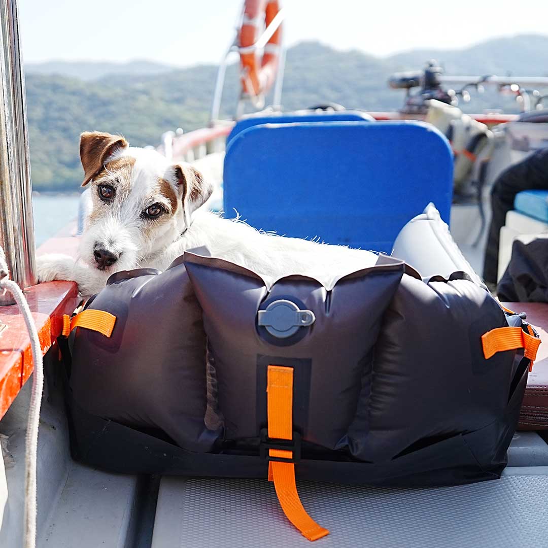 Adventure-Ready Dog Pad: Durable, Comfy, and Insect-Proof