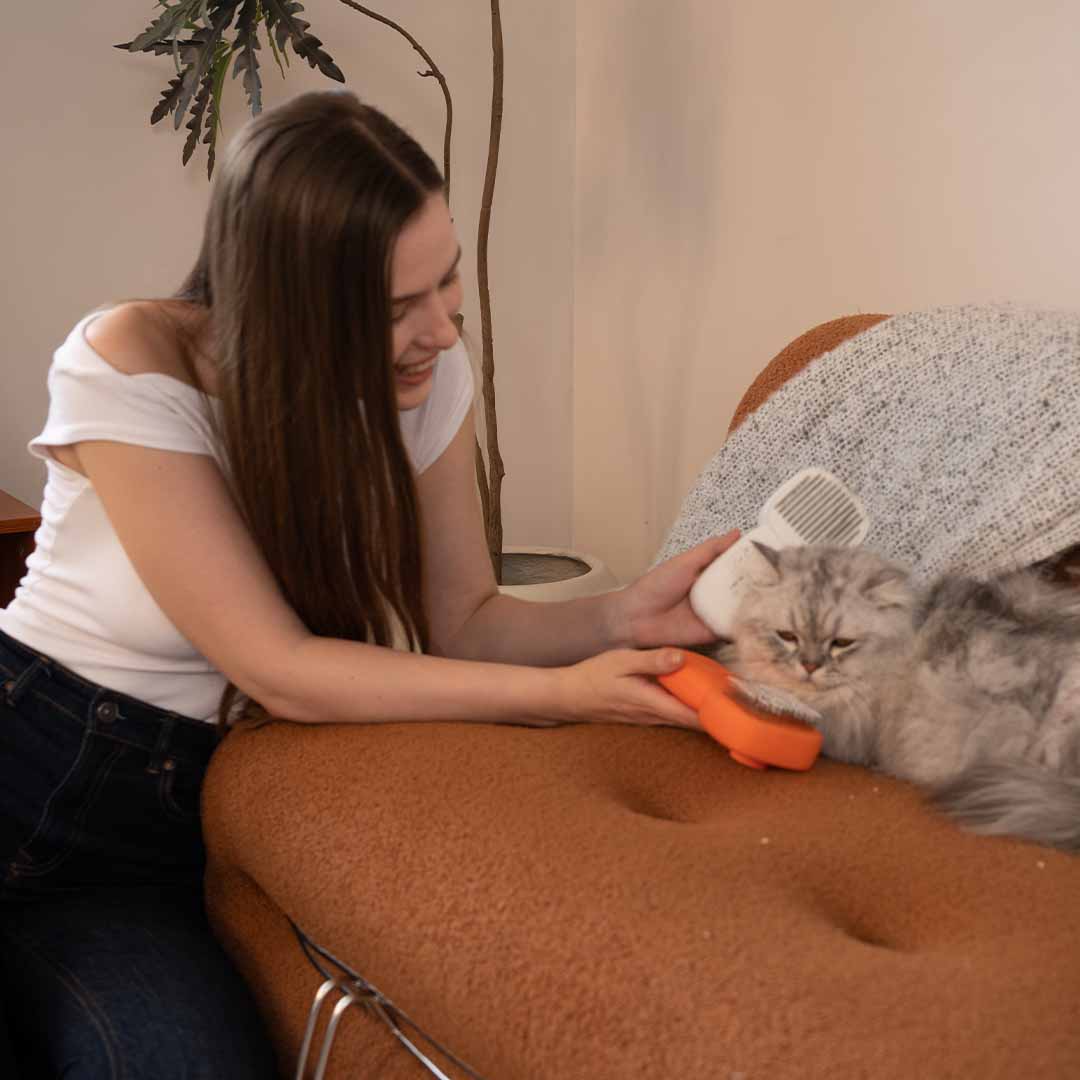 The Pet Brush That Kills 99.9% Bacteria