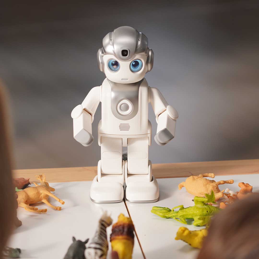 A Humanoid Robot For Curious Minds