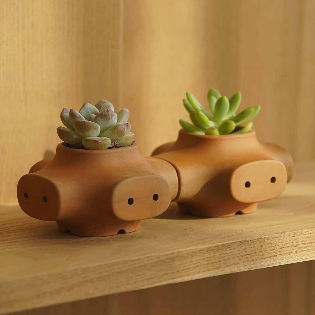 Modular Terracotta Planter System