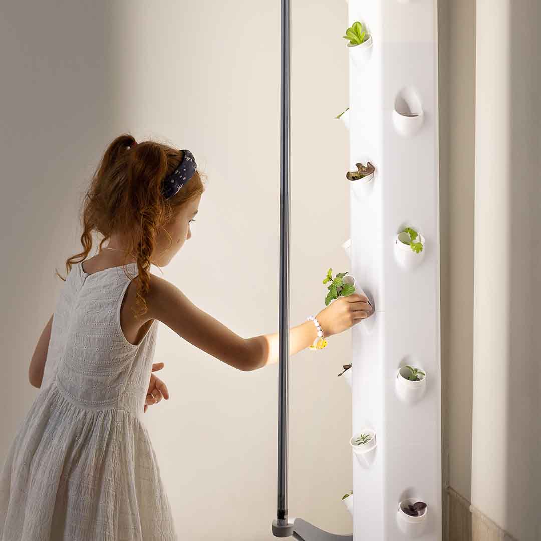 High-Yield Hydroponic System That Adapts To Your Growing Needs