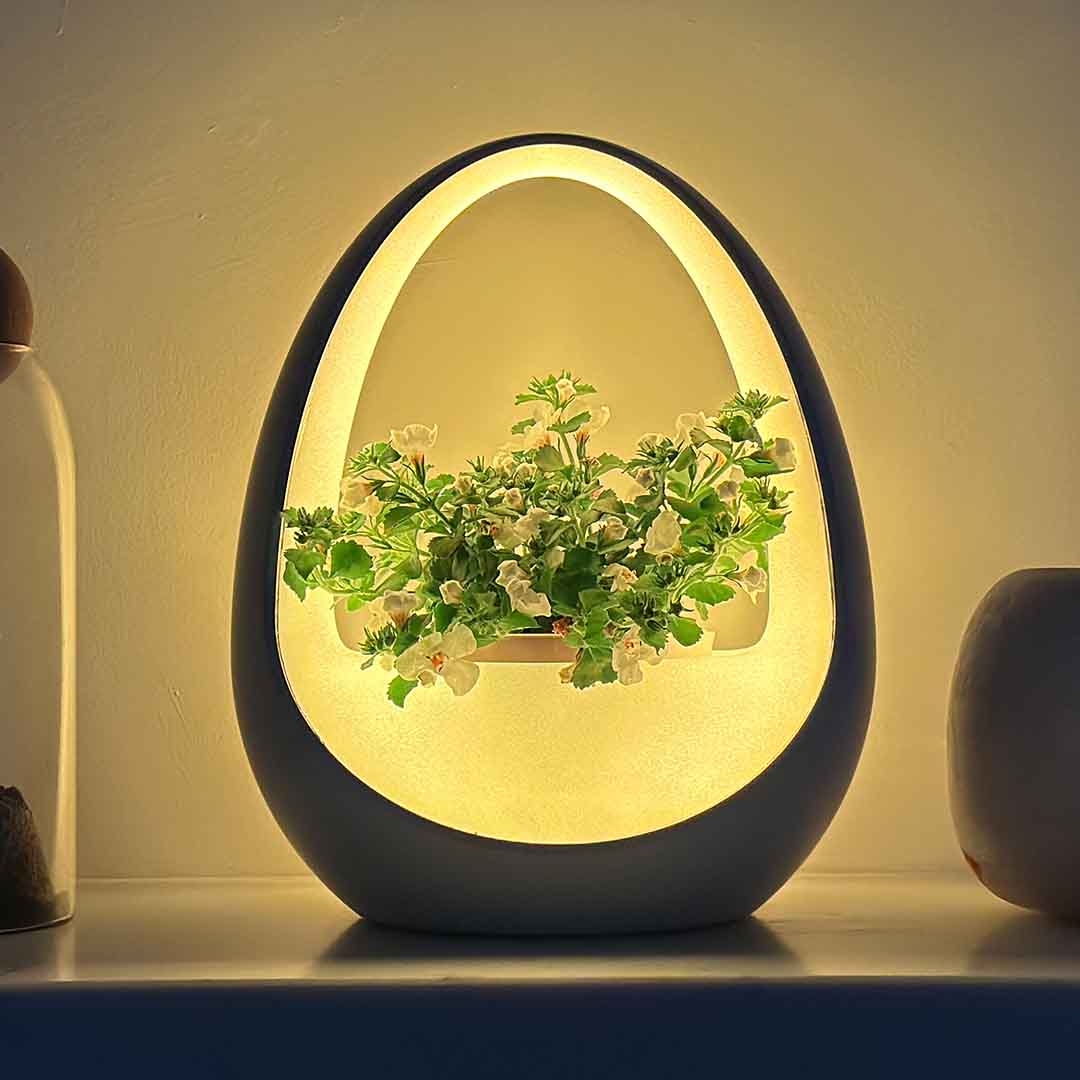 Where Light Meets Life Powered by Water, Designed to Grow