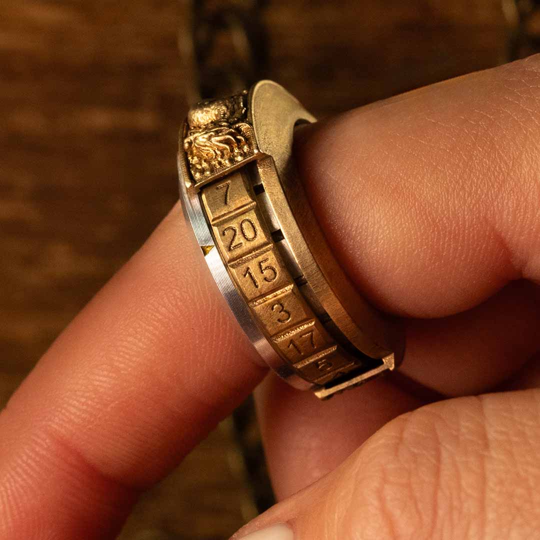 D20 Ring With Precision Bearings