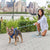 The Dog Leash Reinvented