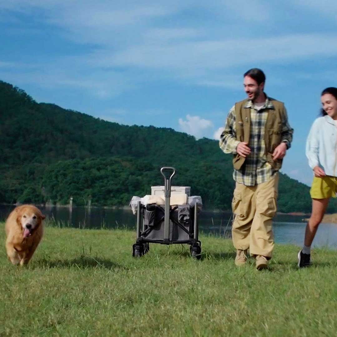 500W Smart Wagon With Hands-Free Control