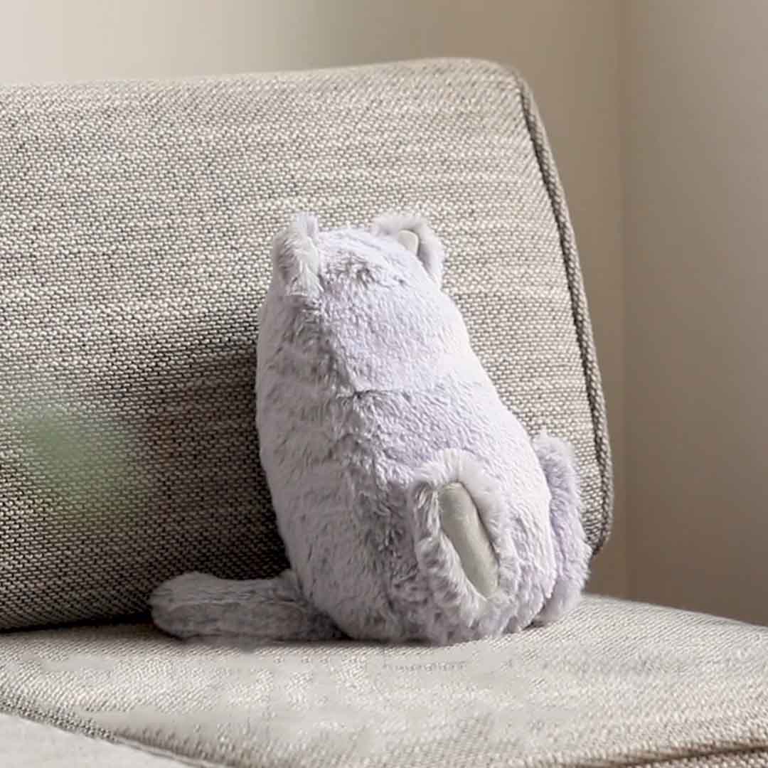 The Pillow Cat That Breathes With You