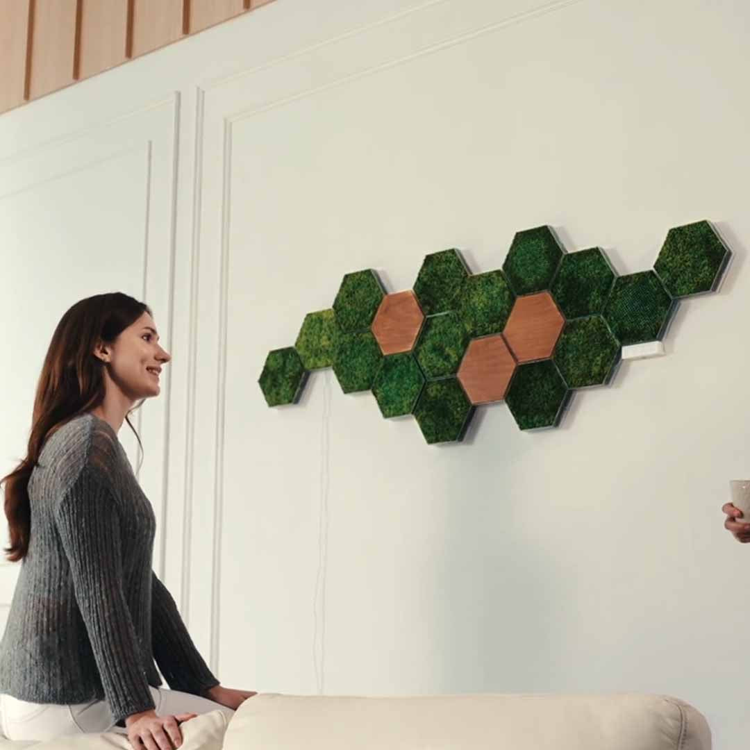 Modular Real Moss Wall Decor