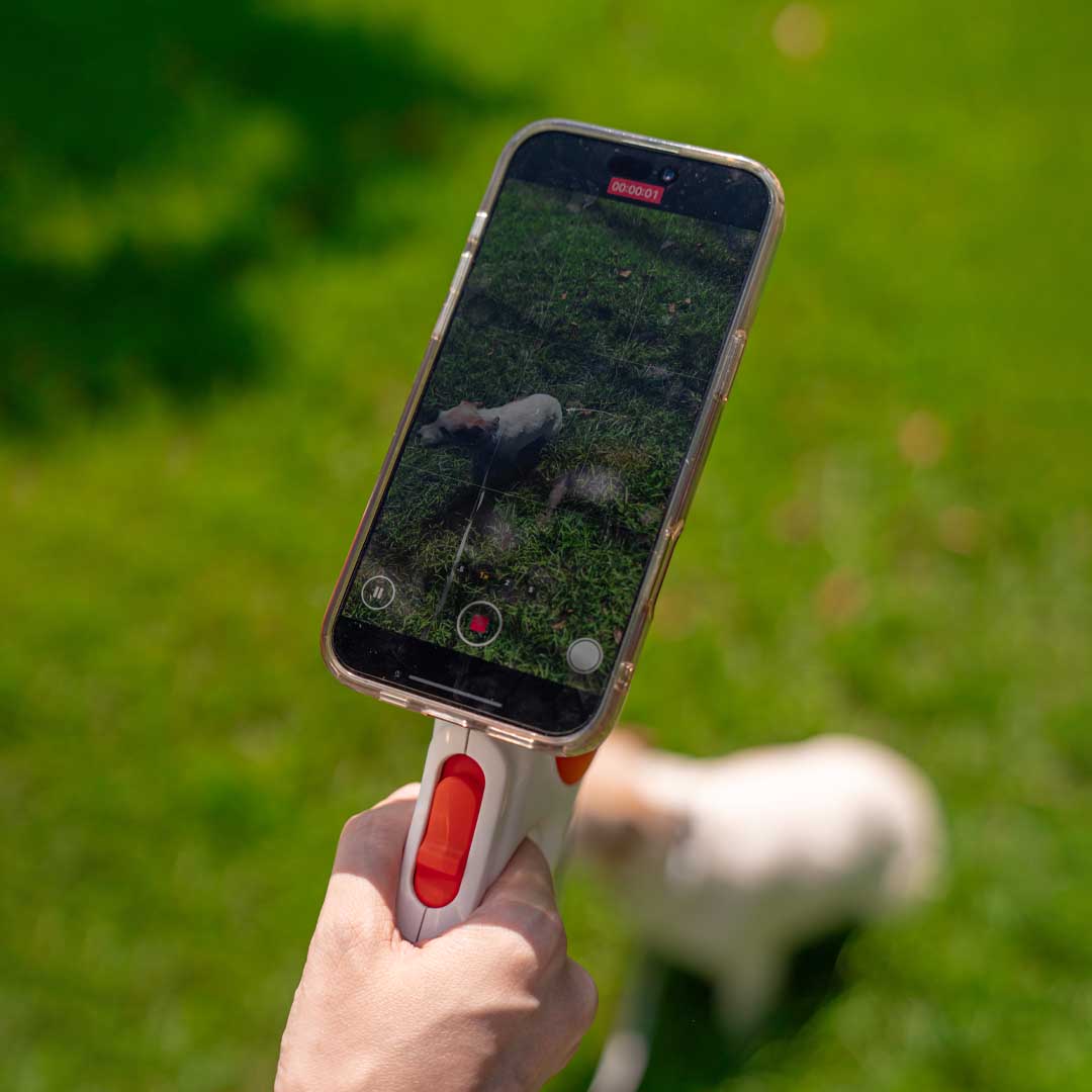 Capture Every Walk Hands Free