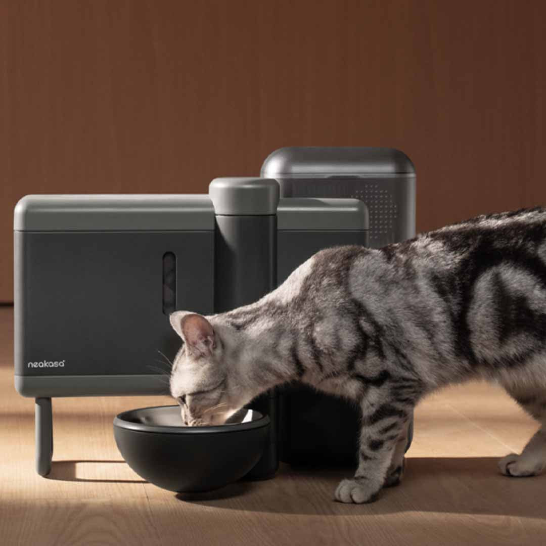 From Freeze-Dried To Fresh Meals