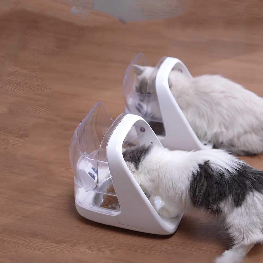 Stops Food Stealing at Mealtime