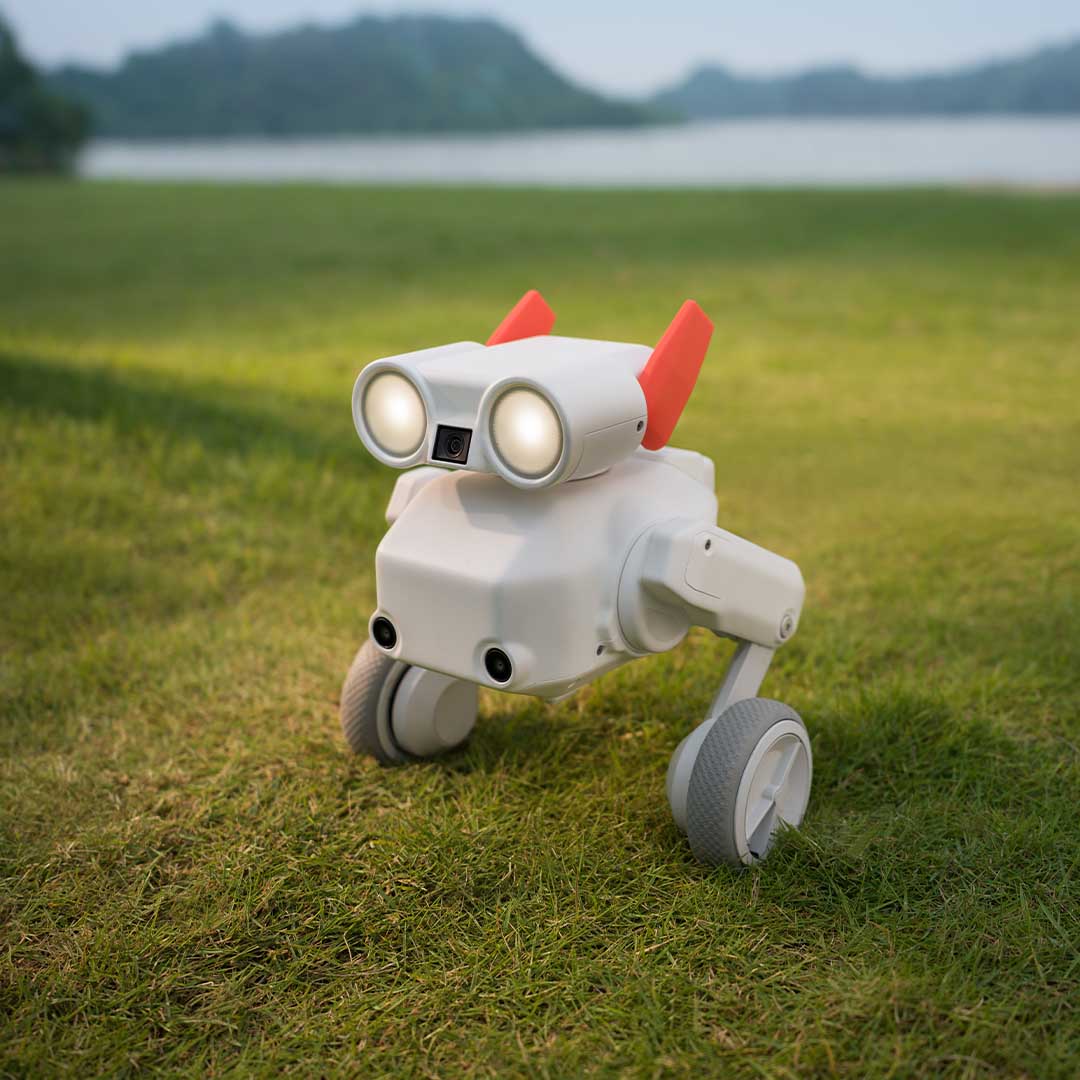 Your All-Terrain Robot Camera Operator