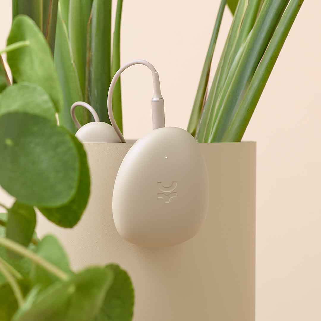 Smart Sensor & App For Effortless Plant Care