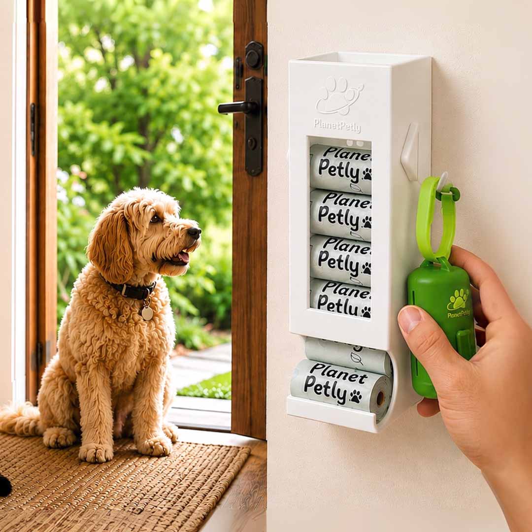 The Doorway Upgrade Dog Owners Need
